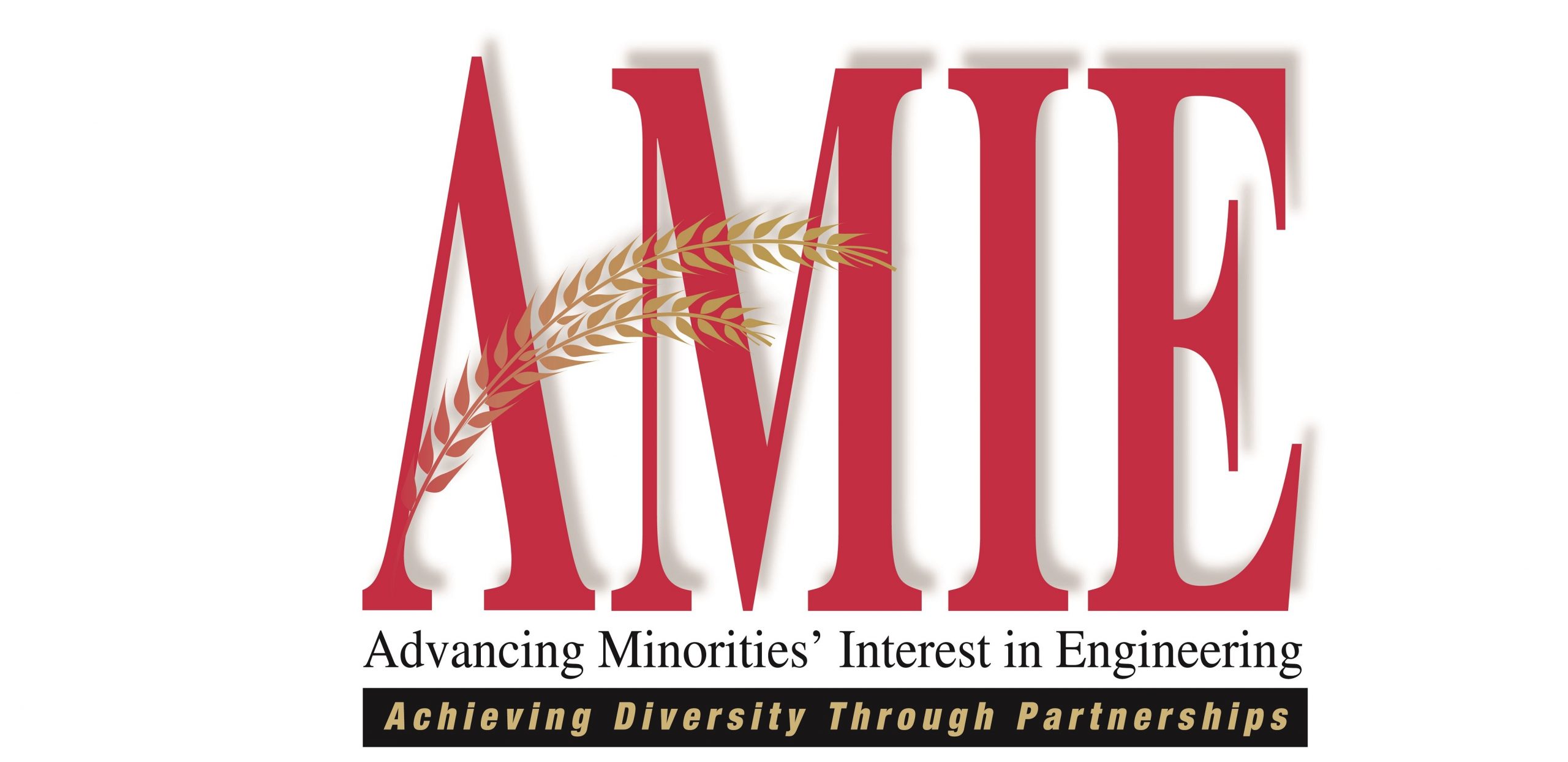 AMIE concludes successful 2021 virtual conference US Black Engineer